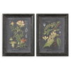 Midnight Botanicals Wall Art Set/2, by Uttermost, 2'0.62" width x 2'8.62" height x 2.37" depth thumbnail 1