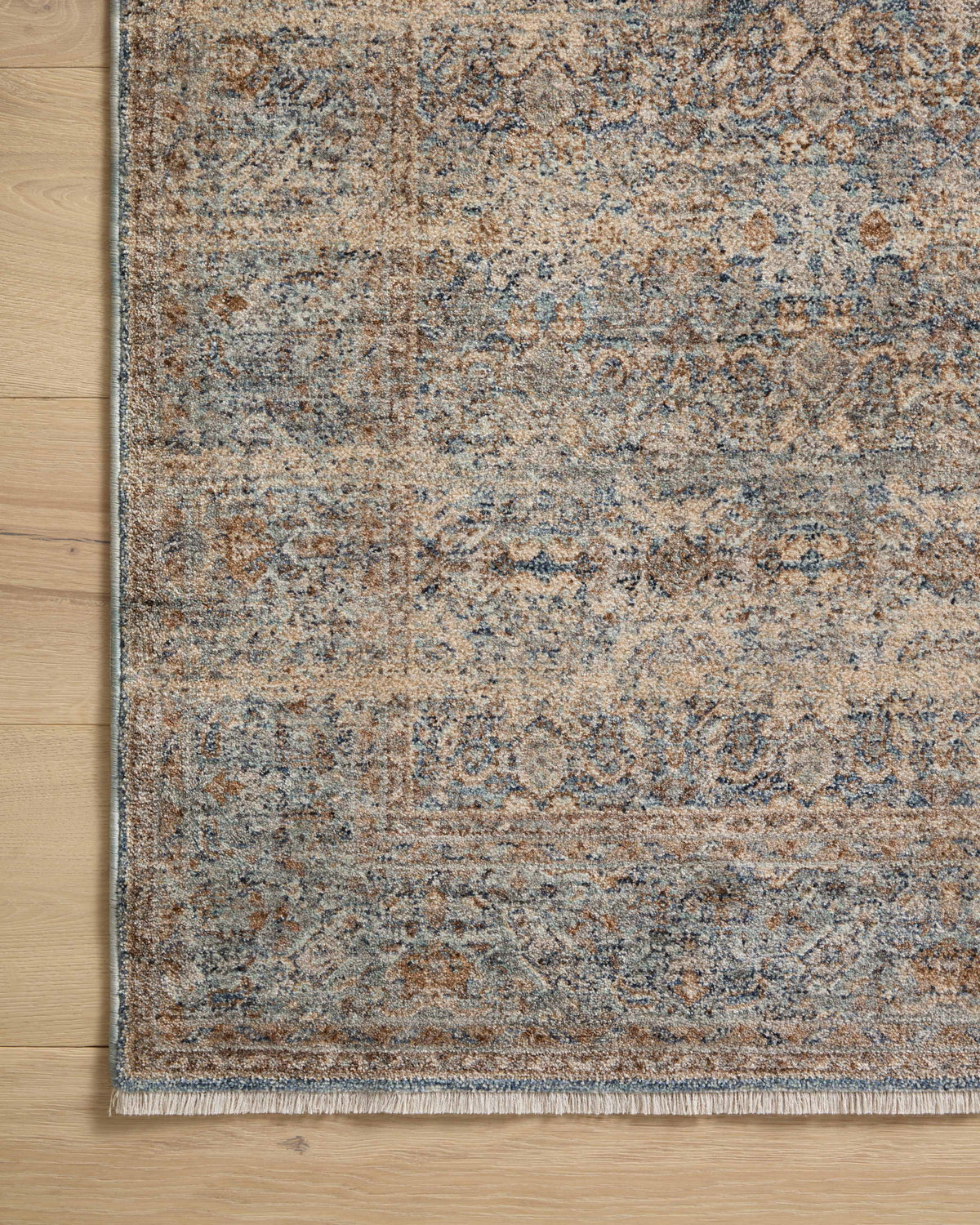 Angela Rose x Loloi Blake Rug, 2'7" length x 8' width View 9