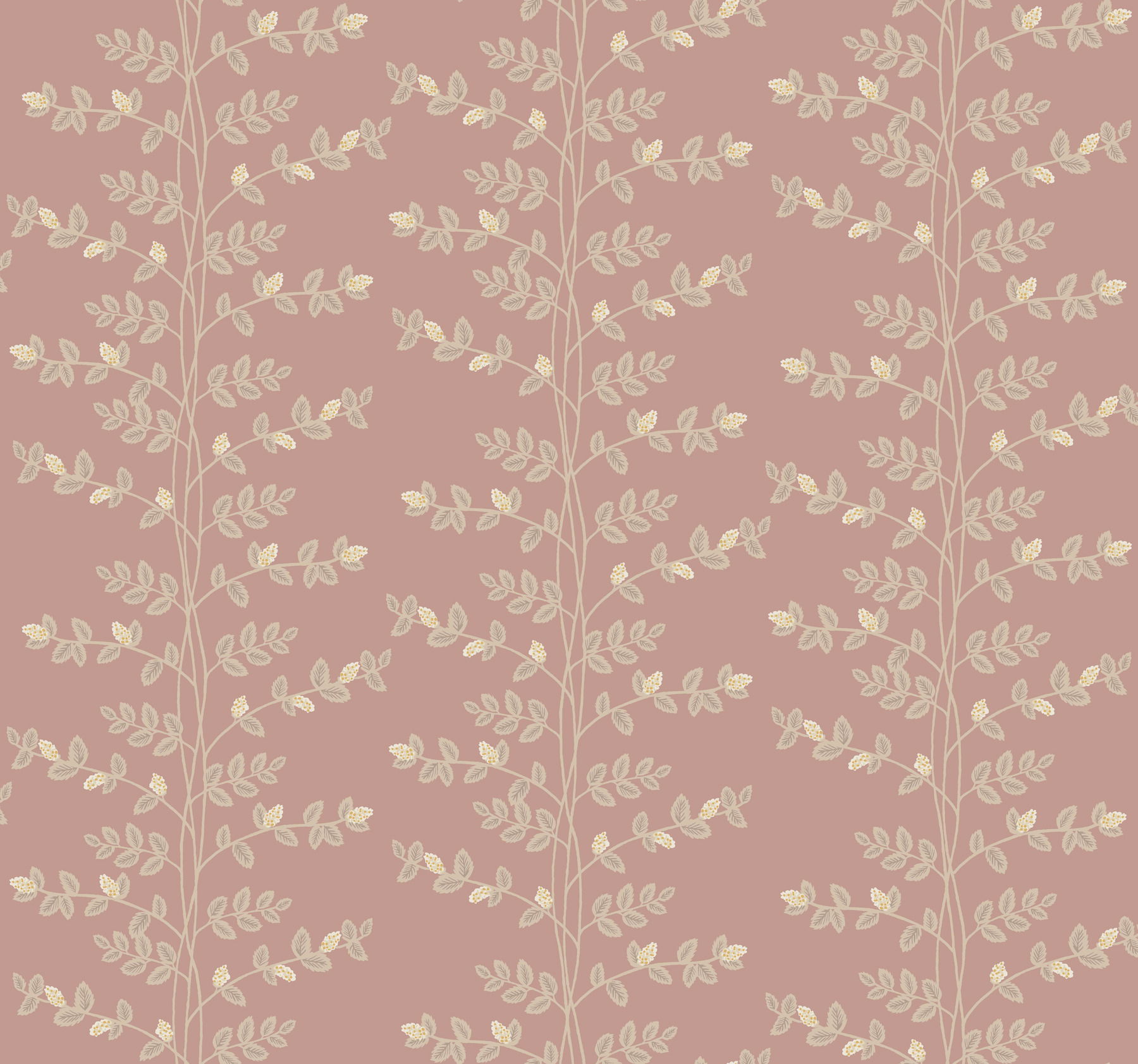 Climbing Vine Rose Wallpaper large image 