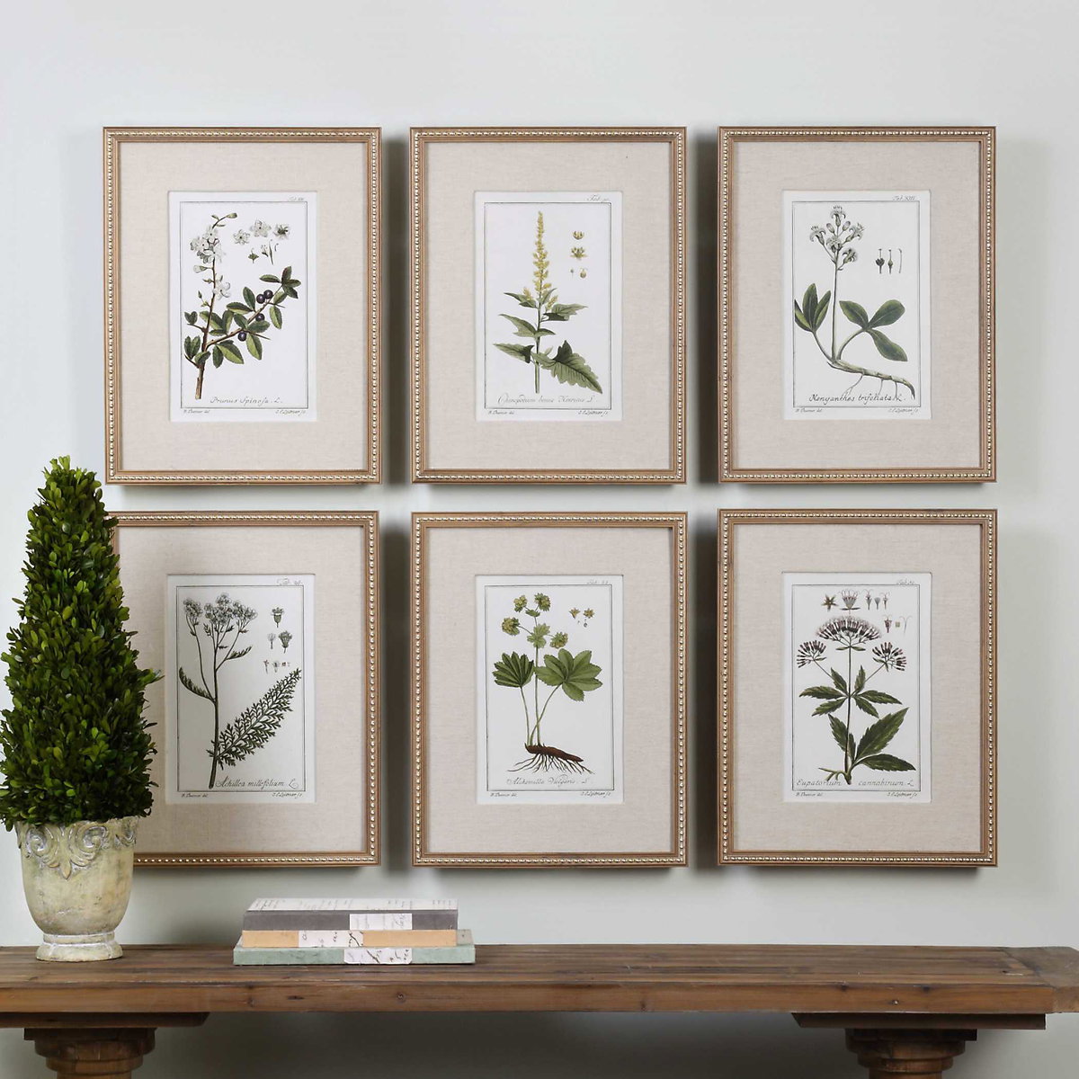 Green Floral Botanical Study Prints Set/6, Art by Uttermost, 17.62" width x 22.62" height x 1.5" depth View 2