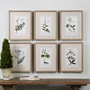 Green Floral Botanical Study Prints Set/6, Art by Uttermost, 17.62" width x 22.62" height x 1.5" depth thumbnail 2