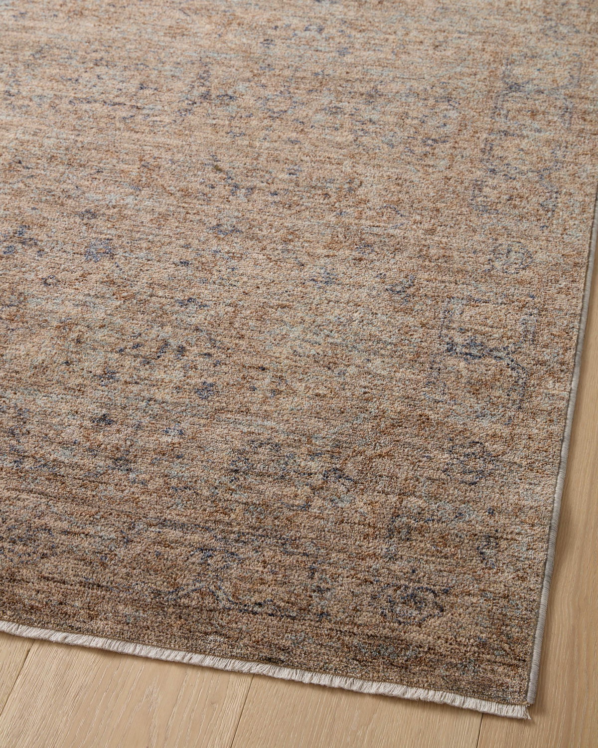 Angela Rose x Loloi Blake Rug, 5'3" length x 5'3" width View 10