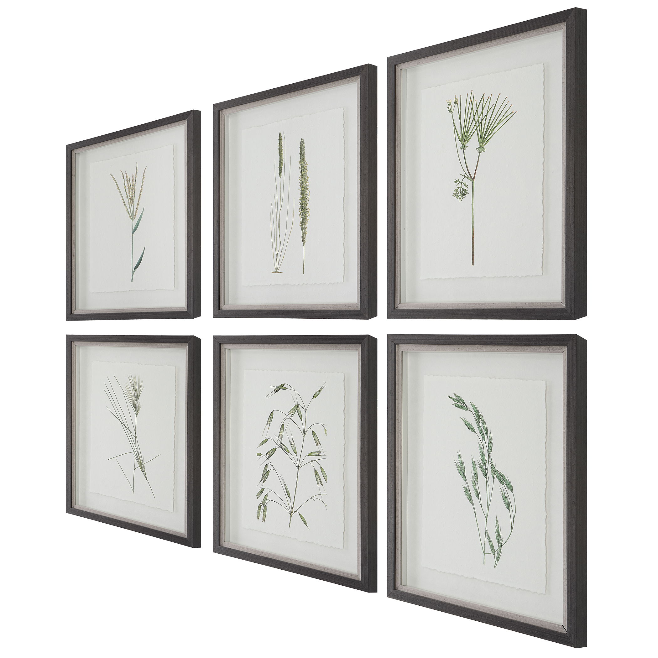 Forest Finds Framed Prints, S/6 large image 