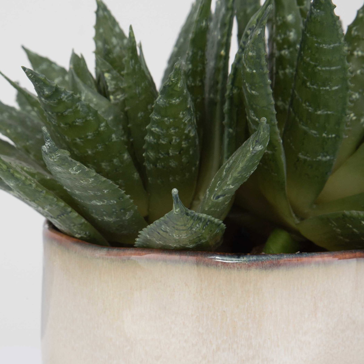 Doha Succulent Accent, Artificial Plants & Flower by Uttermost, 11" width x 10.5" height x 9" depth View 4