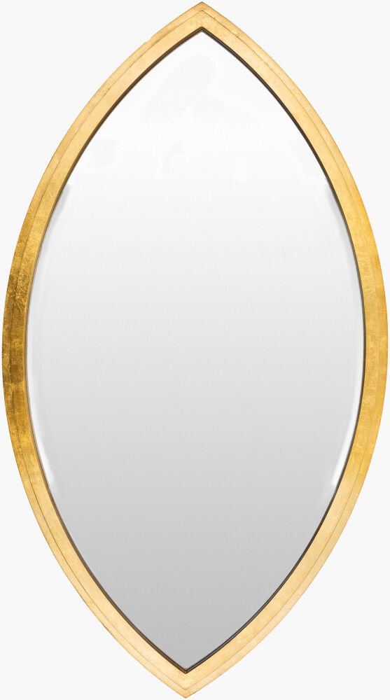Chateaux Mirror, by Surya, 24" width x 43" height