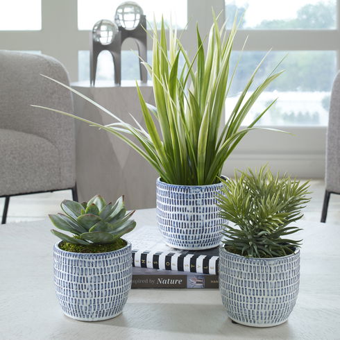 Puebla Greenery In Blue & White Pots, S/3