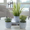 Puebla Greenery In Blue & White Pots Set/3, Artificial Plants & Flower by Uttermost, 22" width x 16" height x 22" depth thumbnail 2