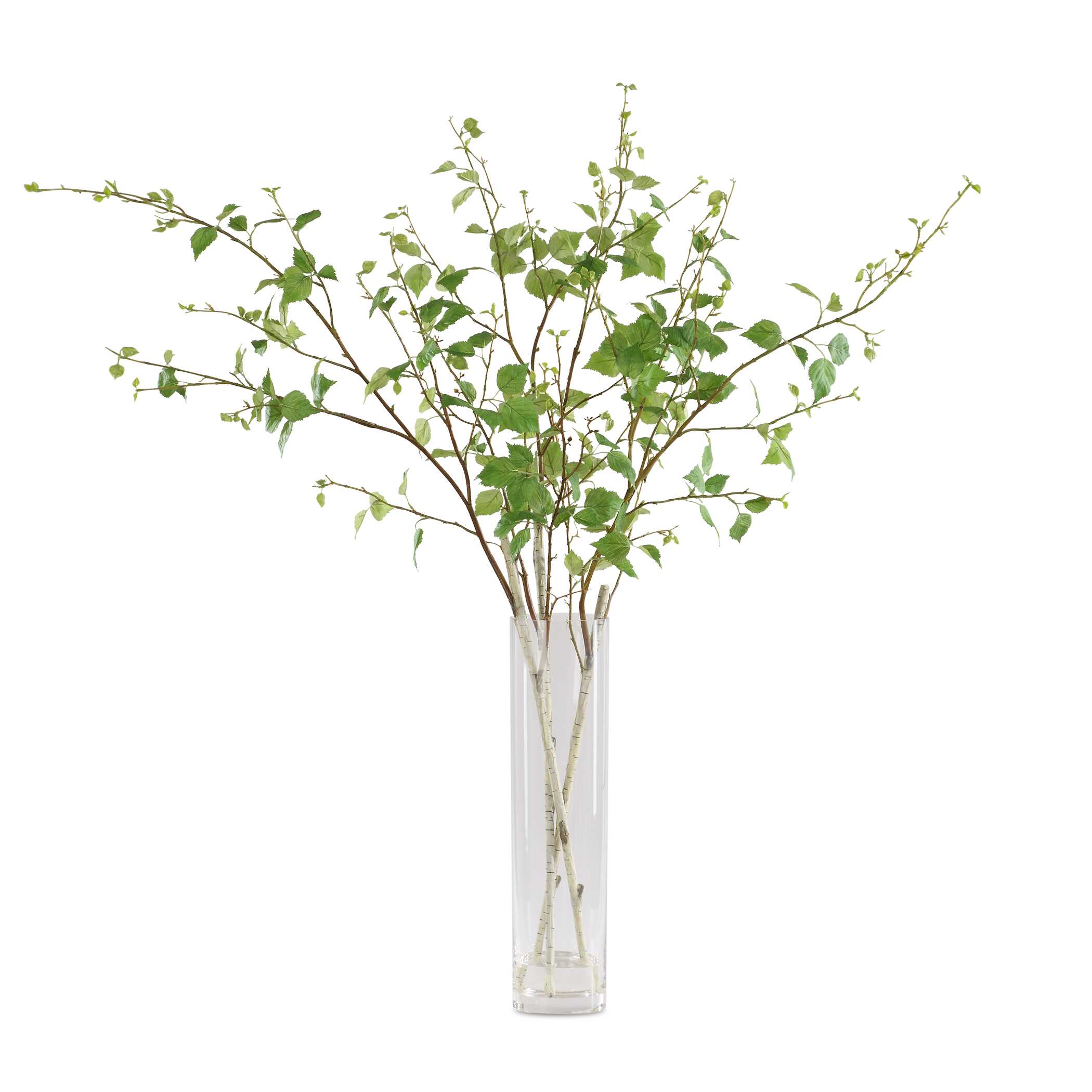 Nigra Birch Vase Centerpiece, Decorative by Uttermost, 20" width x 48.25" height x 24" depth View 1