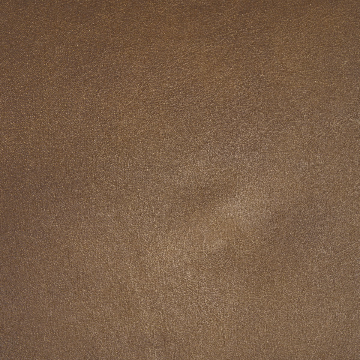 Taniel Backless 27.25in Seat Counter Stool | Brown Leather with Metal, Counter & Bar Stool by Mercana, 18" length x 16" width x 27.75" height View 5