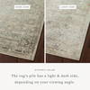 Loloi Sonnet Rug, 3'7" length x 5'7" width thumbnail 2