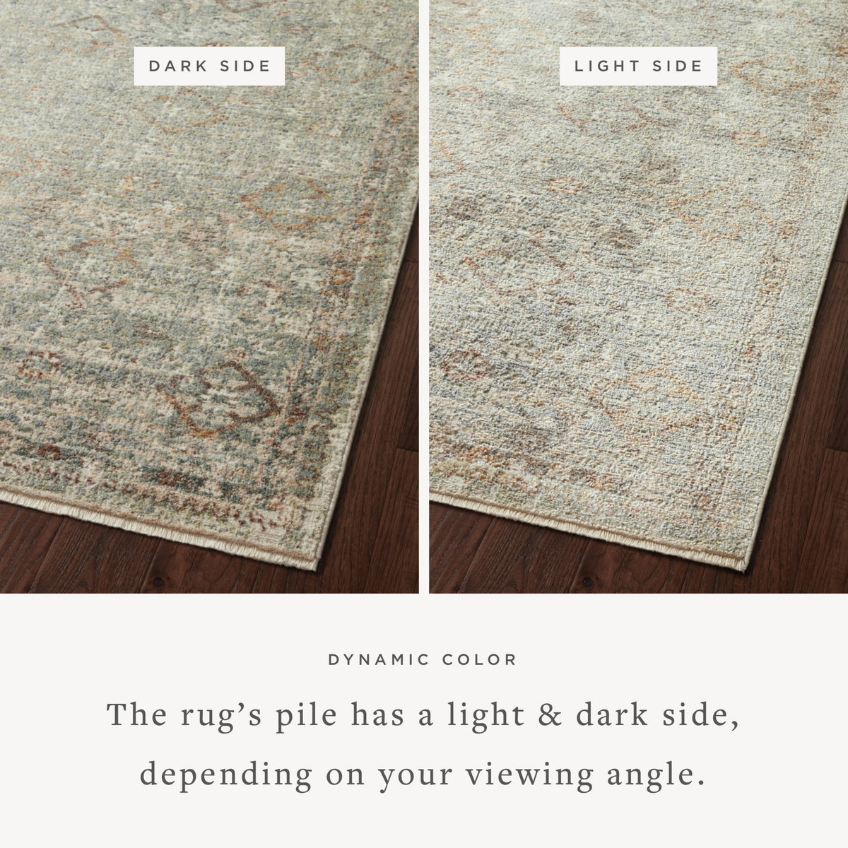 Loloi Sonnet Rug, 5' length x 7'10" width View 2