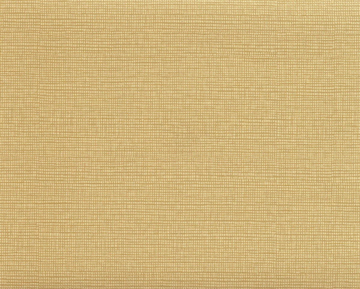 Modern Line Brown Wallpaper, by York Wall, 33' length x 1'9" width x 0.02" depth