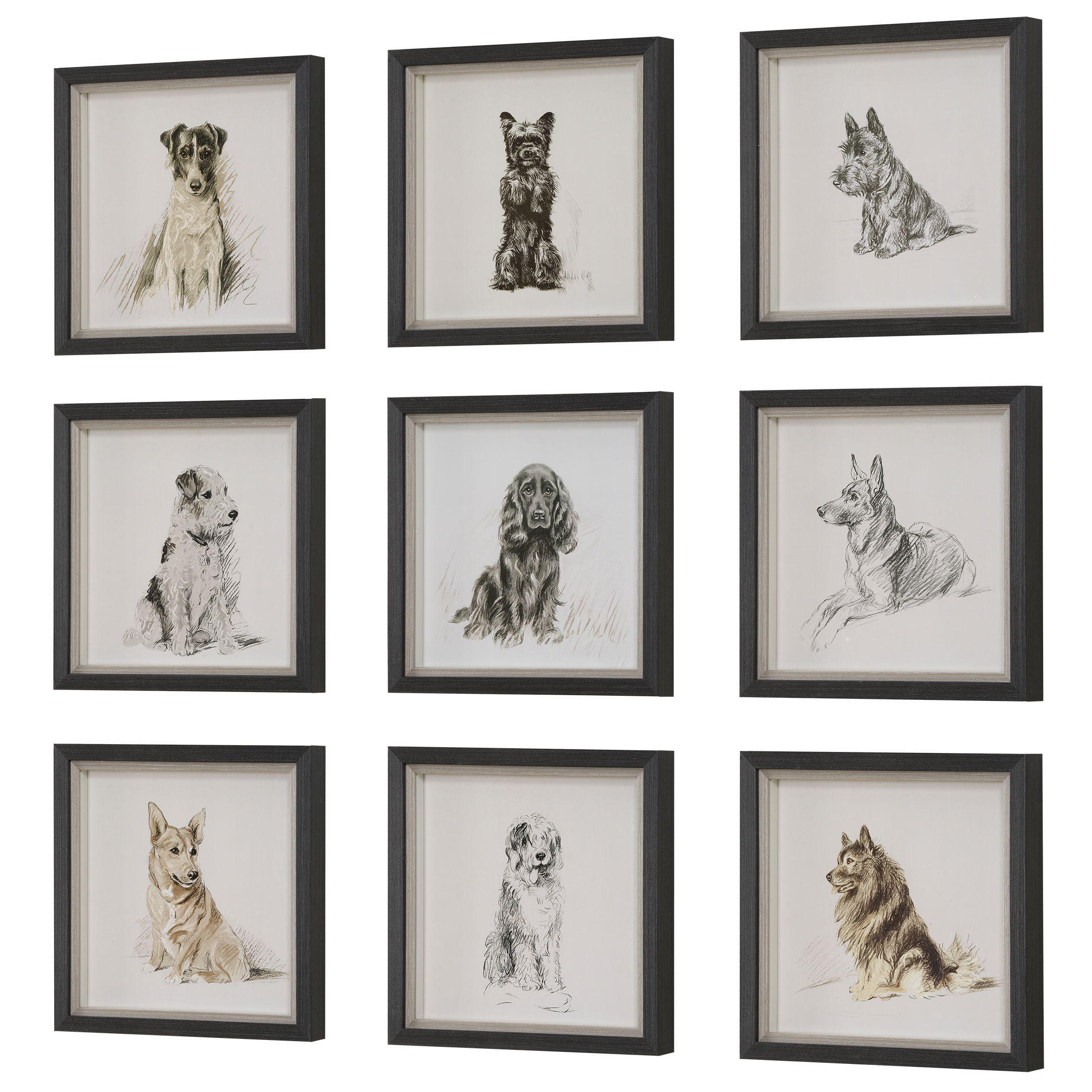 Loyal Companion Framed Dog Prints, S/9 large image 