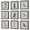 Loyal Companion Framed Dog Prints, S/9 thumbnail 4