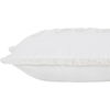 Alivia Indoor Pillow thumbnail 4