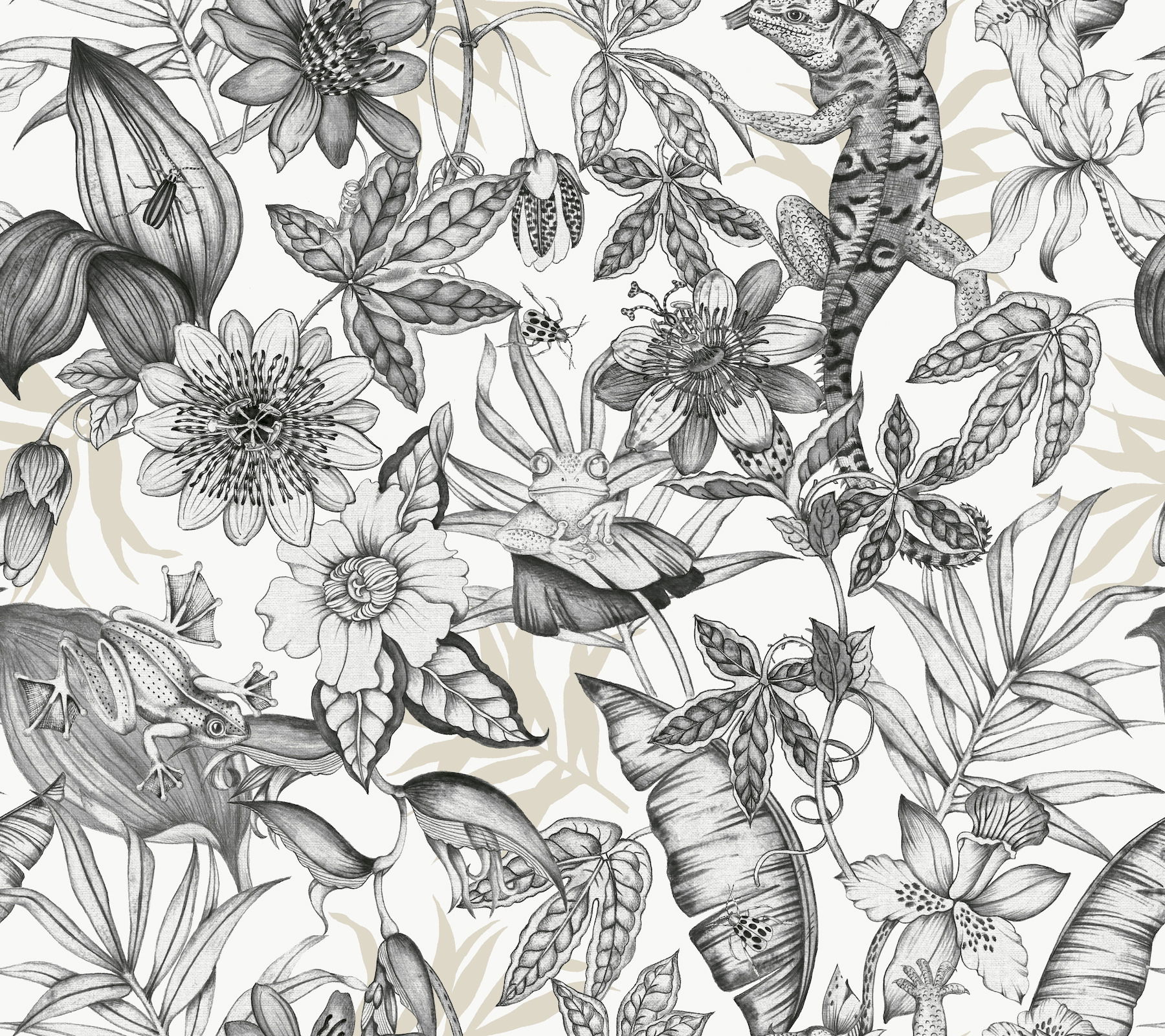 Rainforest White & Charcoal Wallpaper large image 