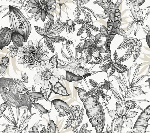 Rainforest White & Charcoal Wallpaper
