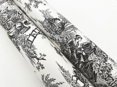 Campagne Toile Black & White Wallpaper