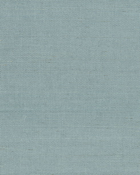 Maguey Sisal Dragonfly Wallpaper