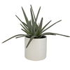 Taos Aloe Centerpiece, Decorative by Uttermost, 17" width x 17.5" height x 17.5" depth thumbnail 3