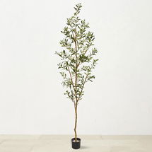 Online Designer Combined Living/Dining Faux Olive Tree, 82"