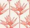 Bird of Paradise Coral Wallpaper, by York Wall, 27' length x 2'3" width x 0.02" depth thumbnail 1