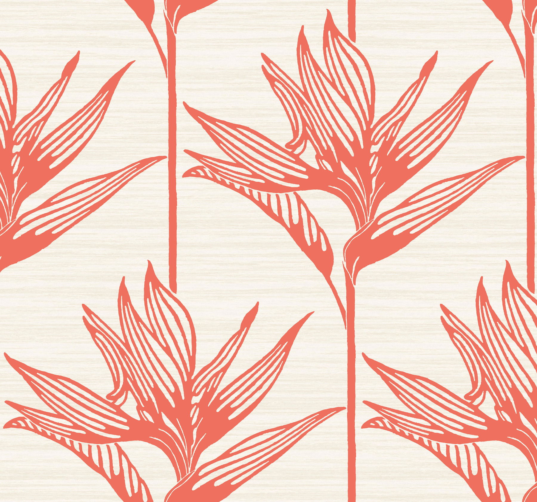 Bird of Paradise Coral Wallpaper large image 