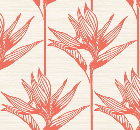 Bird of Paradise Coral Wallpaper