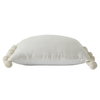 Frederica Indoor Pillow, Decorative Pillow by Renwil, 22" height x 3" depth thumbnail 2