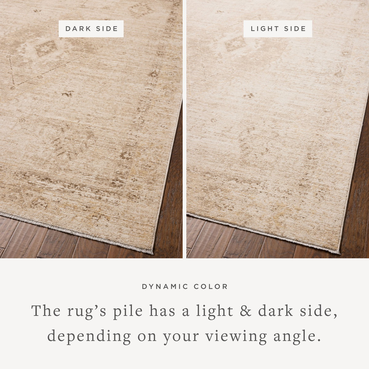 Chris Loves Julia x Loloi Palma Rug, 2'3" length x 3'10" width View 3