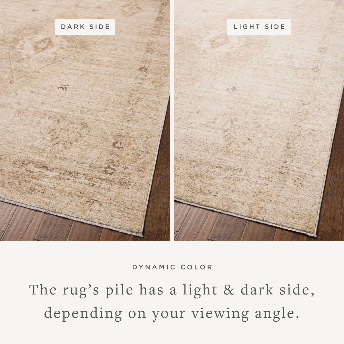 Chris Loves Julia x Loloi Palma Rug, 2'7" length x 7'6" width View 3