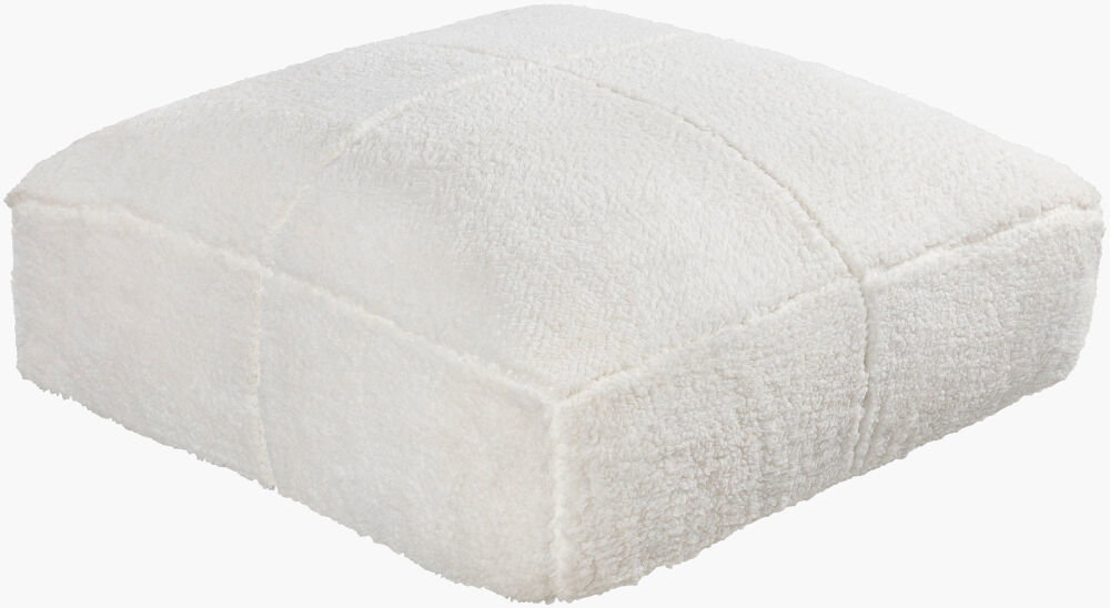 Luis Floor Pillow, Decorative Pillow by Surya, 24" length x 24" width