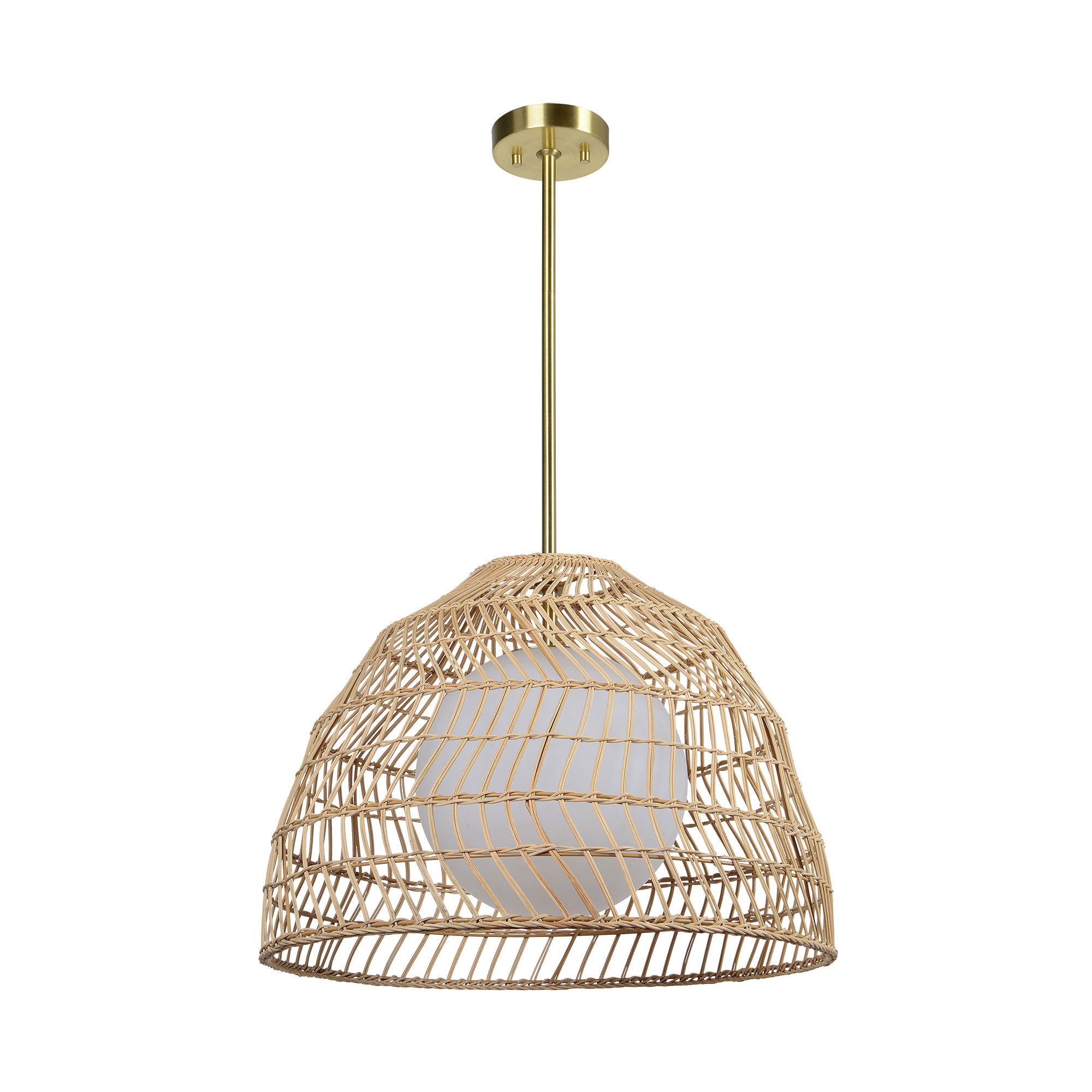 Palm Ceiling Fixture large image 