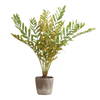Zamia Palm Accent In Planter, by Uttermost, 43" width x 57.75" height x 43" depth thumbnail 1