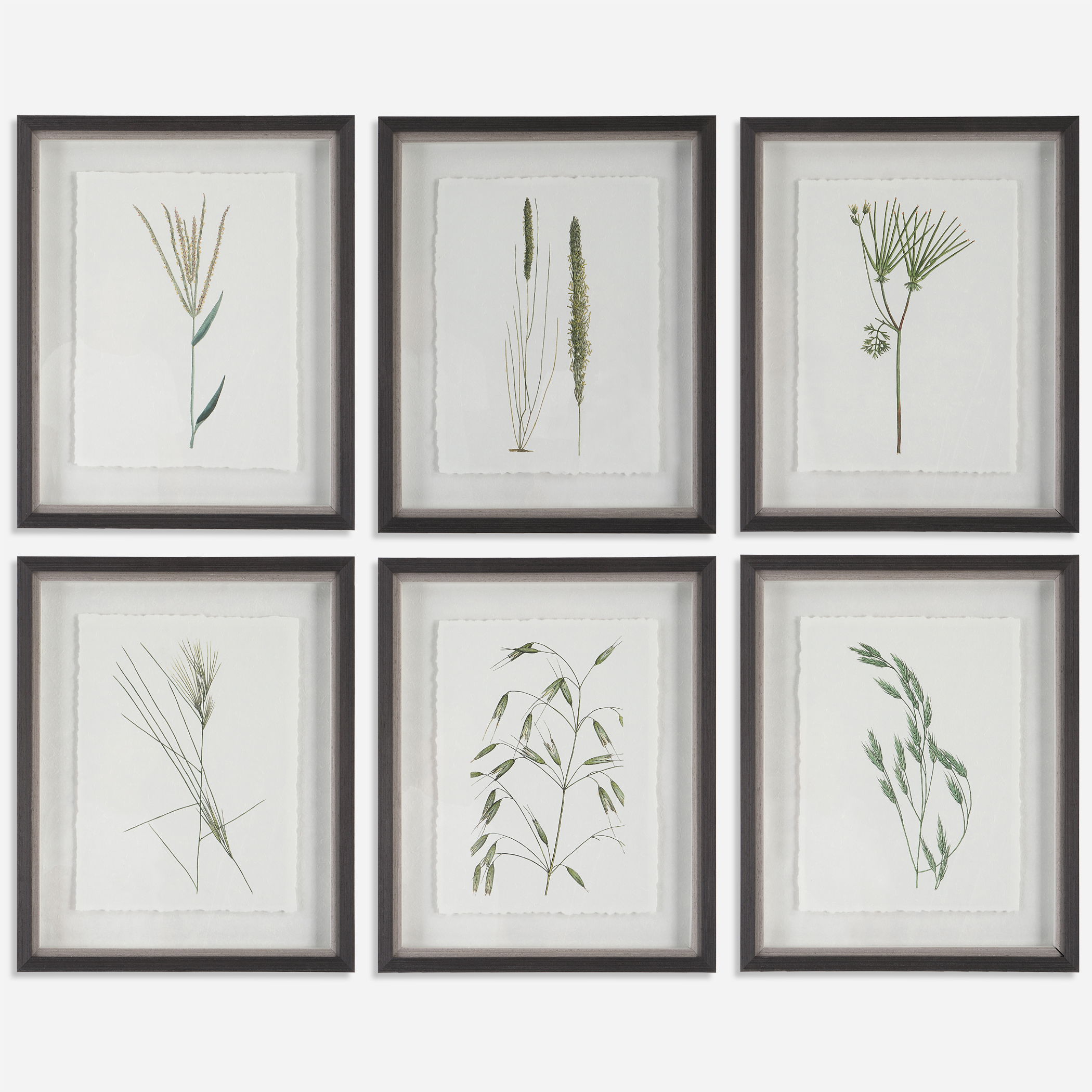 Forest Finds Framed Prints, S/6 large image 