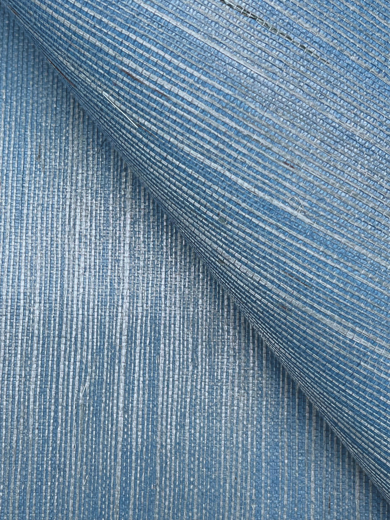 Maguey Sisal Azure Wallpaper large image 