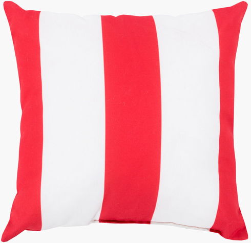 Rain Accent Pillow