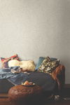 Kashmir Dreams Paisley Off White Wallpaper thumbnail 2