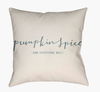 Pumpkin Spice Accent Pillow, Decorative Pillow by Surya, 18" length x 18" width thumbnail