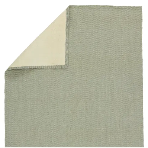 Ranier Natural Solid Green Area Rug (5