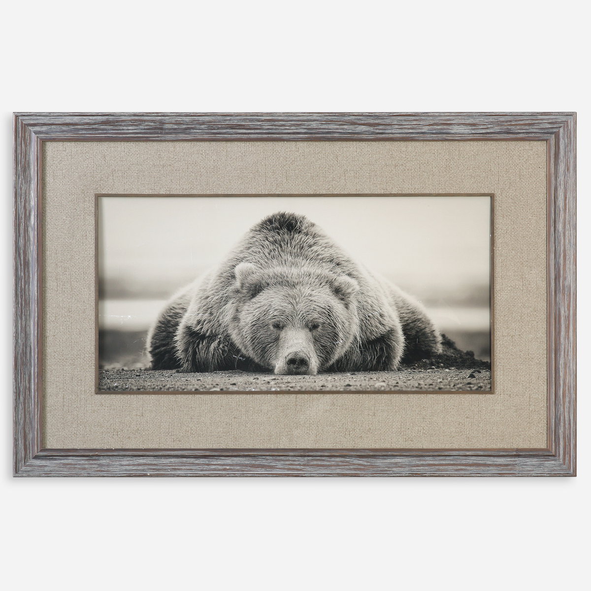Deep Sleep Bear Print, Art by Uttermost, 50.12" width x 32.12" height x 1.12" depth View 1