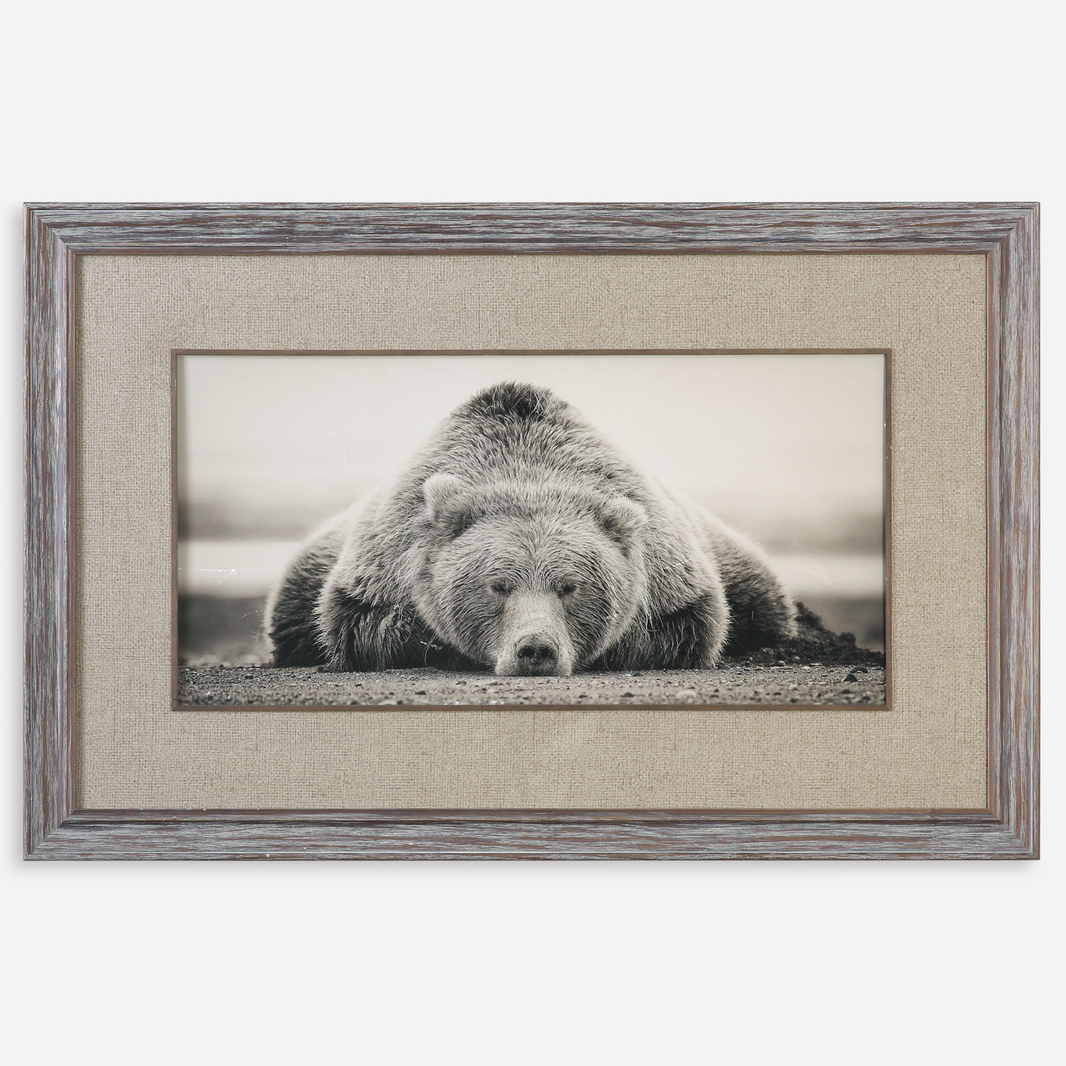 Deep Sleep Bear Print, Painting by Uttermost, 50.12" width x 32.12" height x 1.12" depth View 1