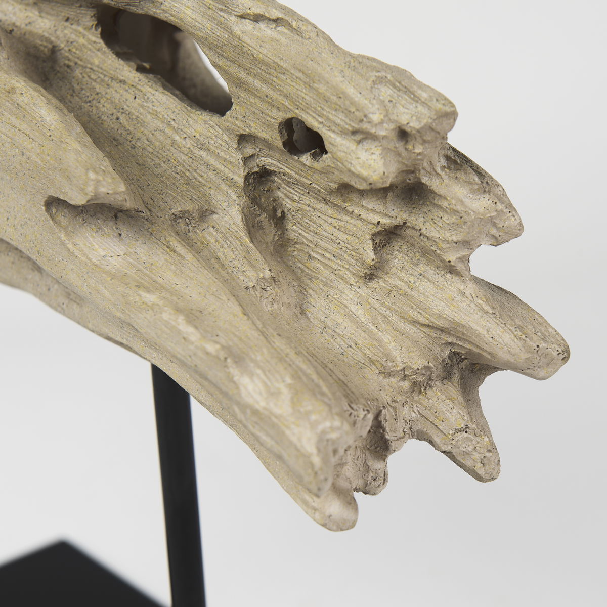 Dwell Cholla Wood Resin Decorative Object, by Mercana, 11.69" length x 5.91" width x 10.43" height View 11