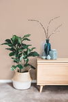 Textile Sisal Grasscloth Pink Wallpaper thumbnail 1