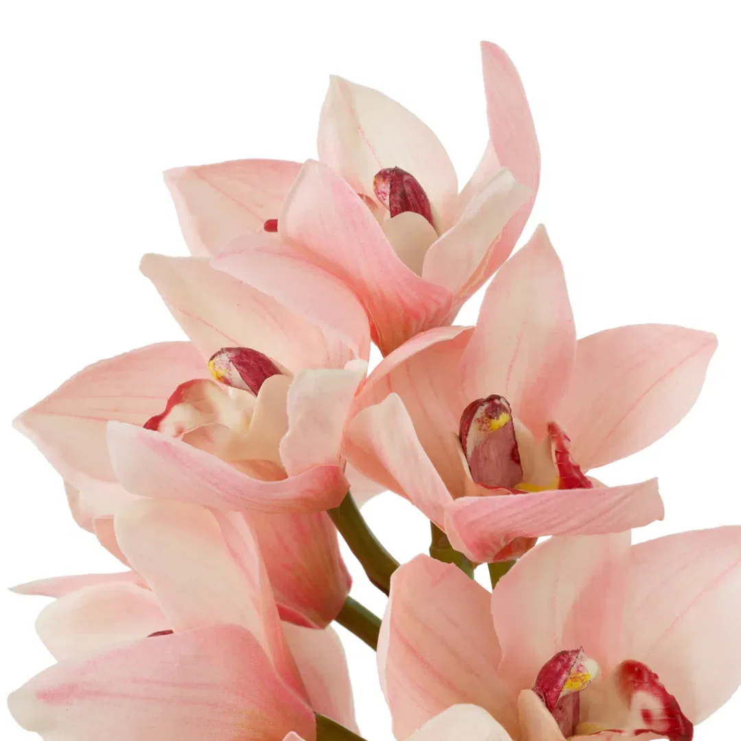 Bouquet Of Cymbidium Orchids Pink And Peach Tones Real Touch 36 Pcs/2Varieties, Artificial Plants & Flower by Eichholtz USA, 27.56" width x 19.5" height x 27.56" depth View 1