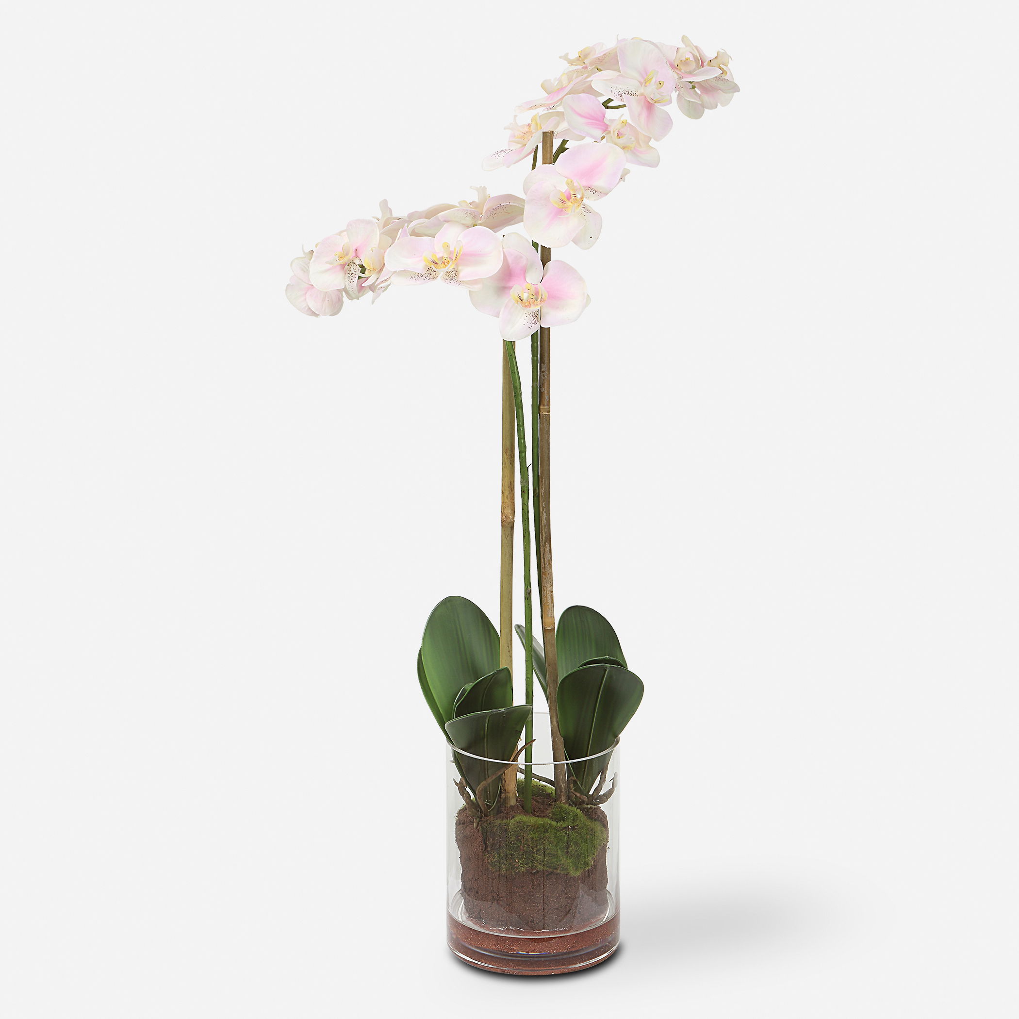 Blush Pink And White Orchid large image 