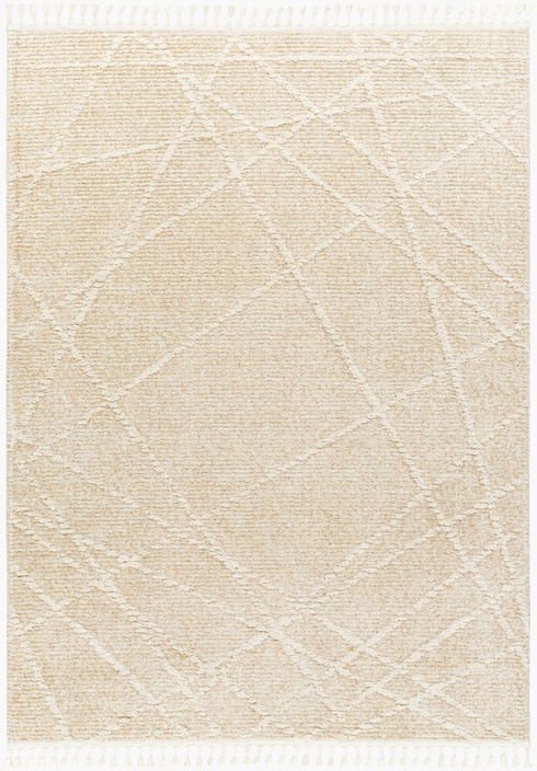 Rudy Machine Woven Rug