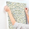 Cornflower Jasmine Wallpaper thumbnail 4