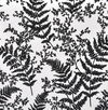 Forest Fern Flock Black Wallpaper, by York Wall, 33' length x 1'8.5" width x 0.02" depth thumbnail 1