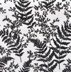 Forest Fern Flock Black Wallpaper, by York Wall, 33' length x 1'8.5" width x 0.02" depth thumbnail